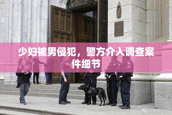 少妇被男侵犯，警方介入调查案件细节
