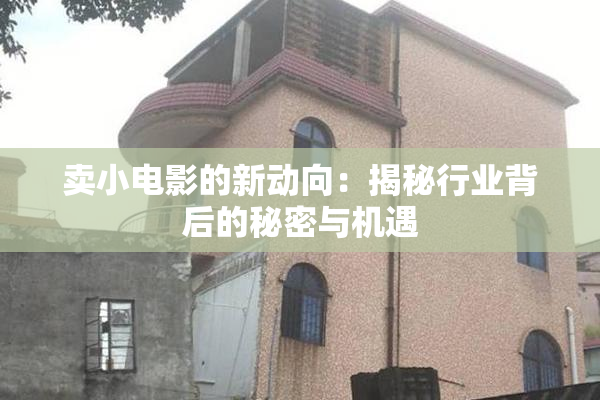 卖小电影的新动向：揭秘行业背后的秘密与机遇
