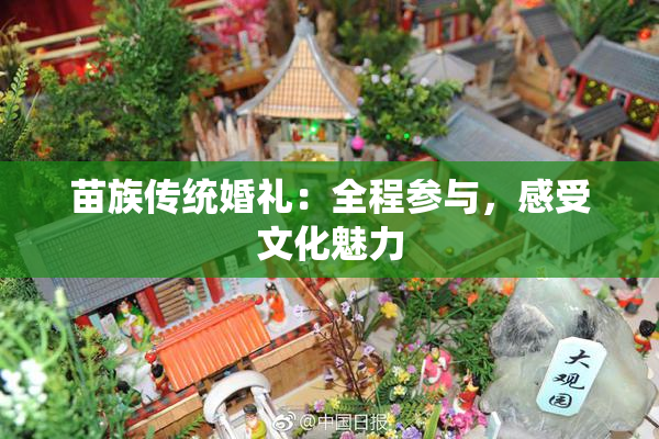 苗族传统婚礼：全程参与，感受文化魅力