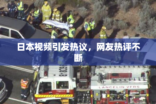 日本视频引发热议，网友热评不断