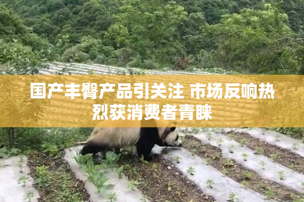 国产丰臀产品引关注 市场反响热烈获消费者青睐