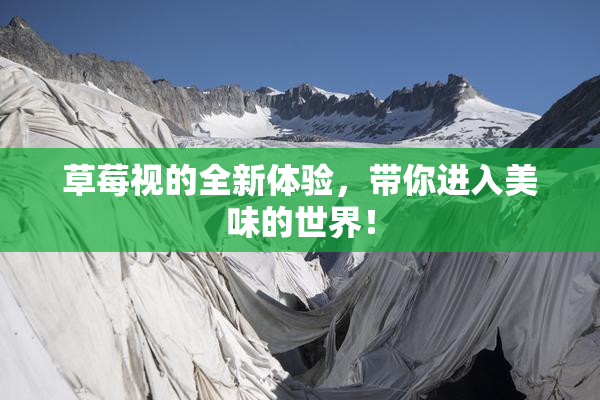 草莓视的全新体验，带你进入美味的世界！