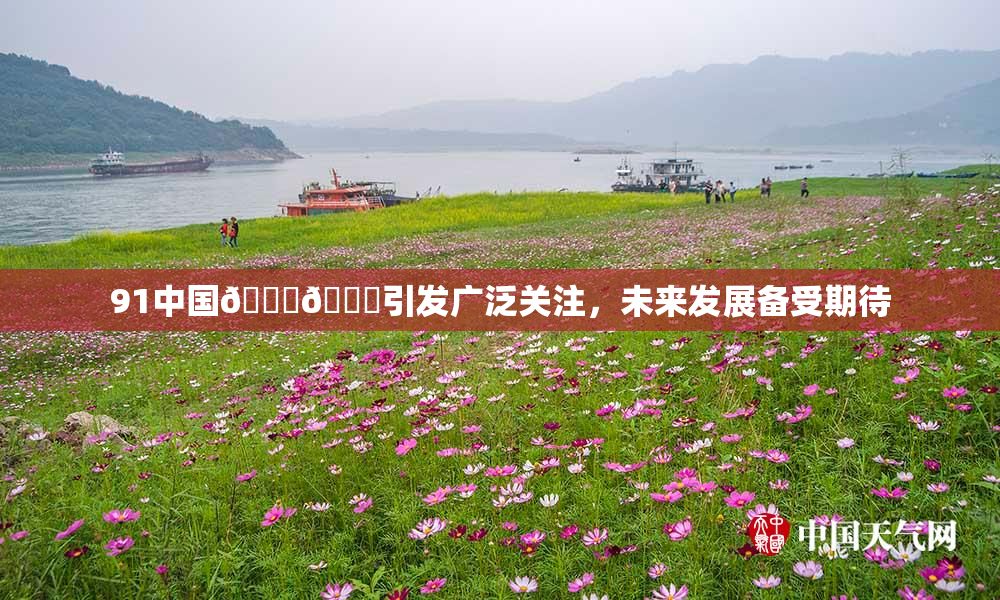 91中国🍆🍑引发广泛关注，未来发展备受期待