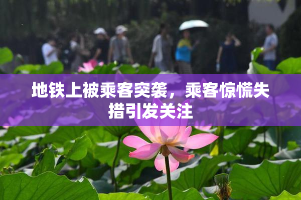 地铁上被乘客突袭，乘客惊慌失措引发关注
