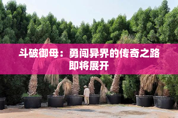 斗破御母：勇闯异界的传奇之路即将展开