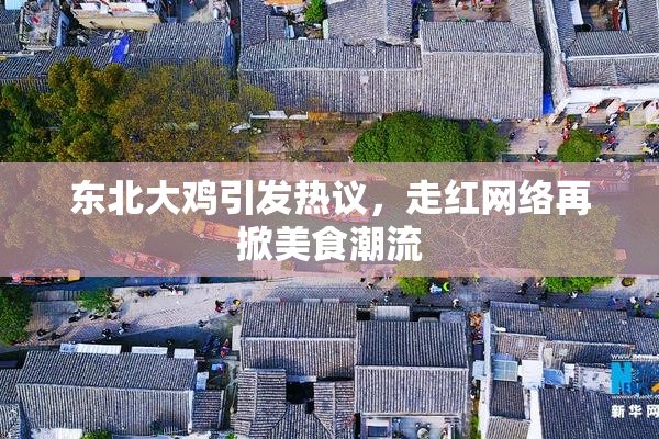 东北大鸡引发热议，走红网络再掀美食潮流