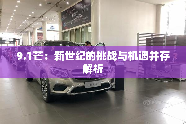9.1芒：新世纪的挑战与机遇并存解析