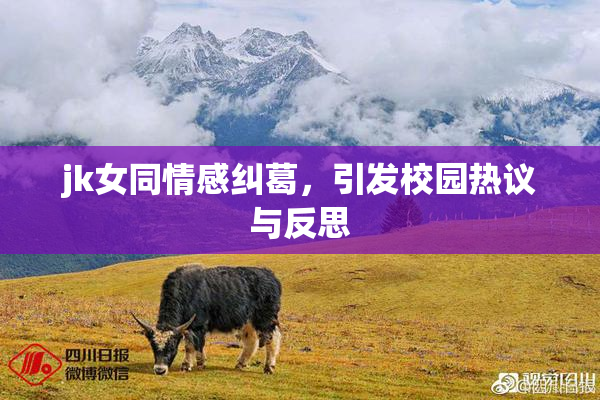 jk女同情感纠葛，引发校园热议与反思