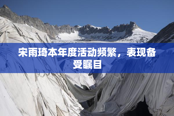 宋雨琦本年度活动频繁，表现备受瞩目