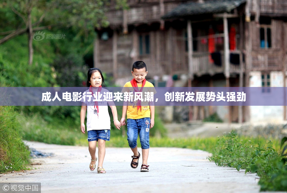 成人电影行业迎来新风潮，创新发展势头强劲