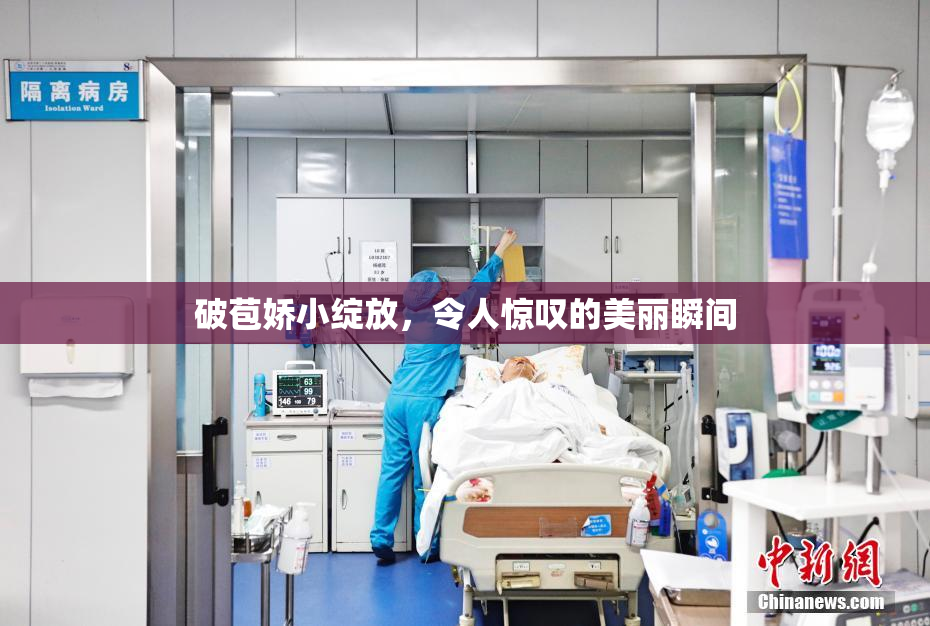 破苞娇小绽放，令人惊叹的美丽瞬间