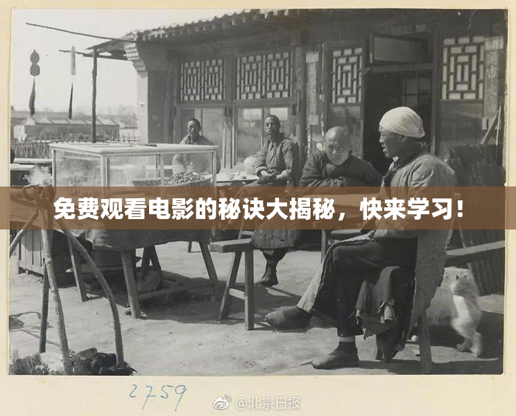 免费观看电影的秘诀大揭秘，快来学习！