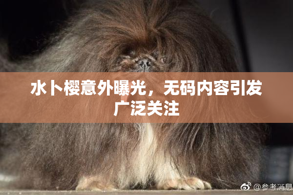 水卜樱意外曝光，无码内容引发广泛关注