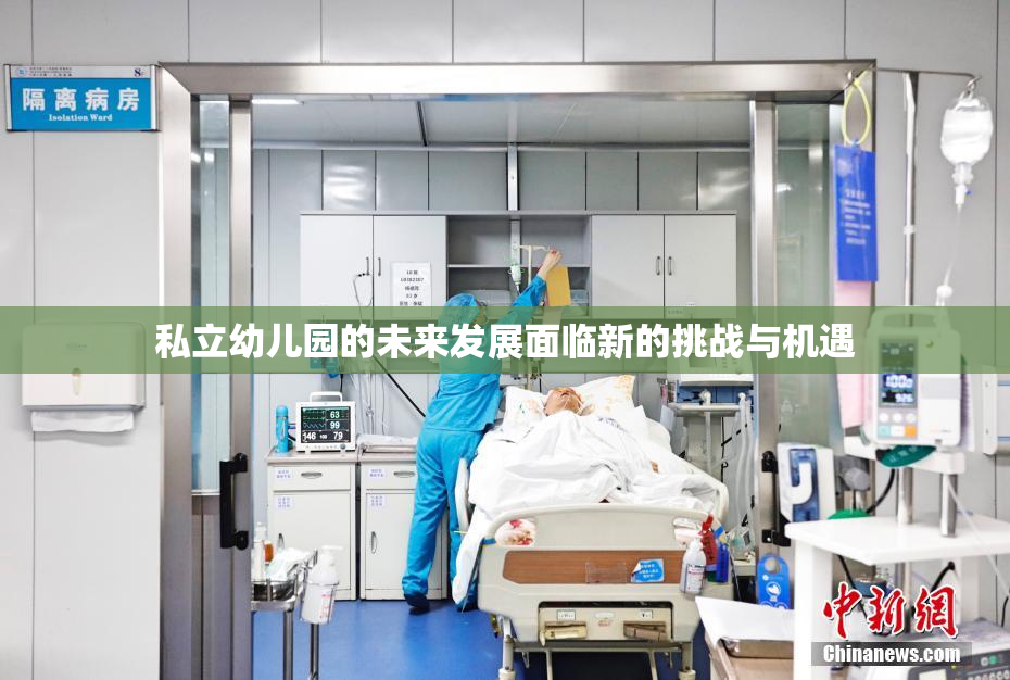 私立幼儿园的未来发展面临新的挑战与机遇