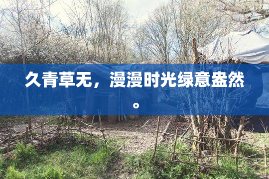 久青草无，漫漫时光绿意盎然。