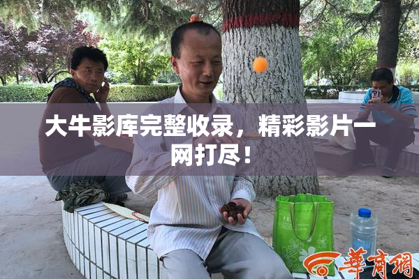 大牛影库完整收录，精彩影片一网打尽！