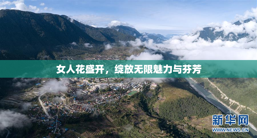 女人花盛开，绽放无限魅力与芬芳