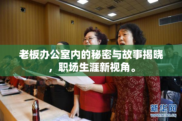 老板办公室内的秘密与故事揭晓，职场生涯新视角。