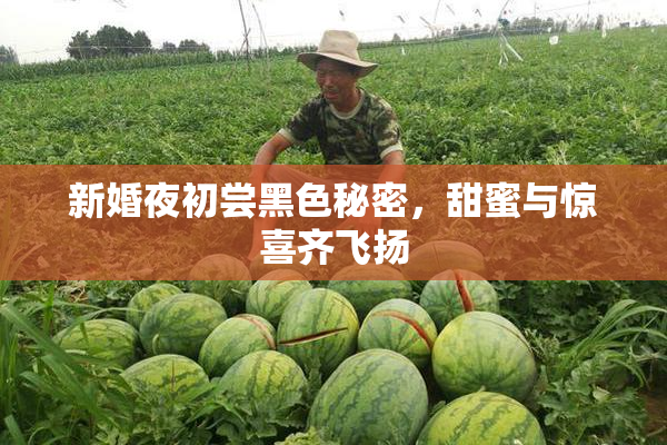 新婚夜初尝黑色秘密，甜蜜与惊喜齐飞扬