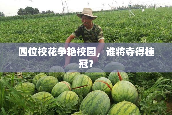 四位校花争艳校园，谁将夺得桂冠？
