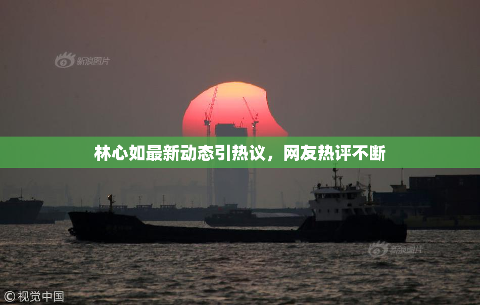 林心如最新动态引热议，网友热评不断