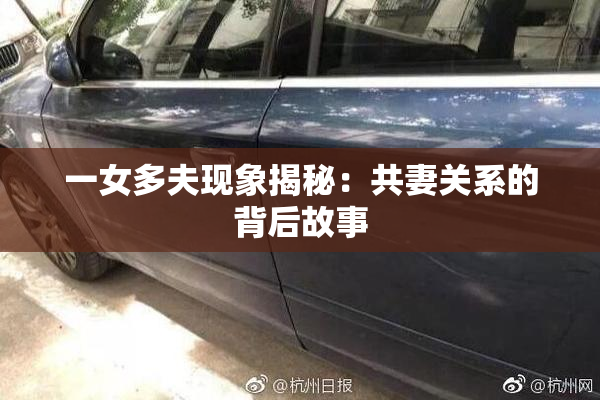 一女多夫现象揭秘：共妻关系的背后故事