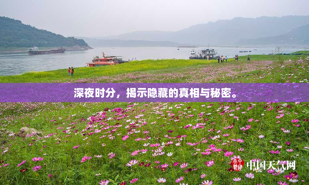 深夜时分，揭示隐藏的真相与秘密。