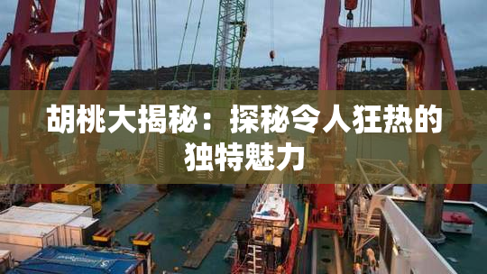 胡桃大揭秘：探秘令人狂热的独特魅力