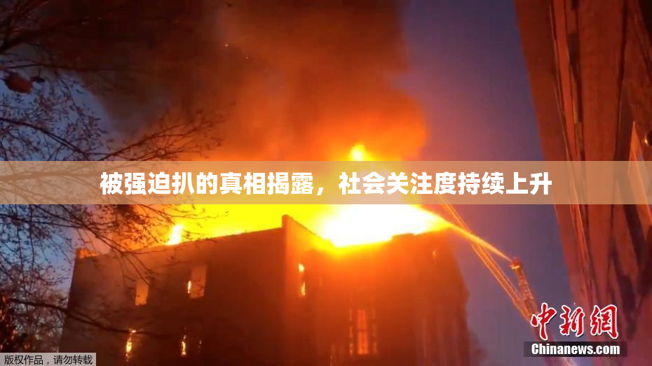 被强迫扒的真相揭露，社会关注度持续上升