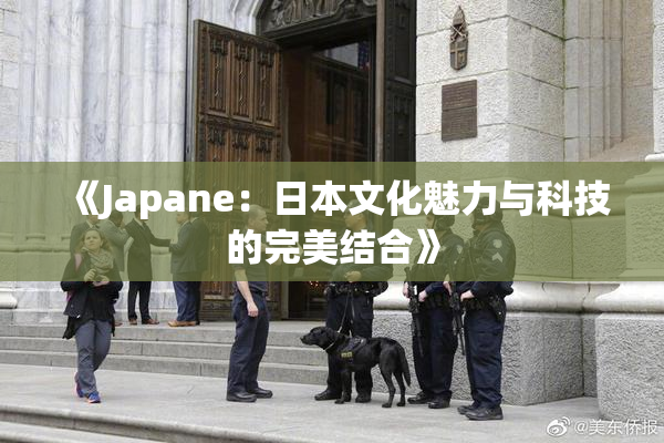 《Japane：日本文化魅力与科技的完美结合》