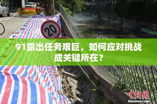 91露出任务艰巨，如何应对挑战成关键所在？