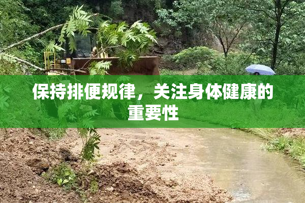 保持排便规律，关注身体健康的重要性