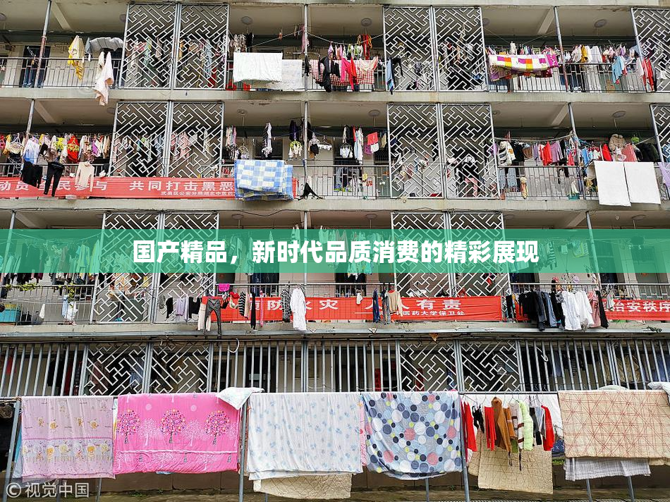 国产精品，新时代品质消费的精彩展现