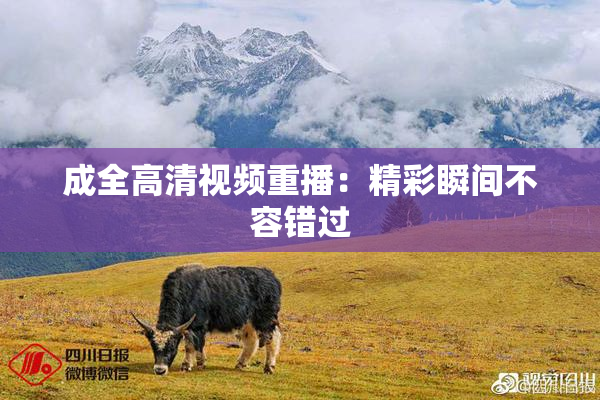 成全高清视频重播：精彩瞬间不容错过
