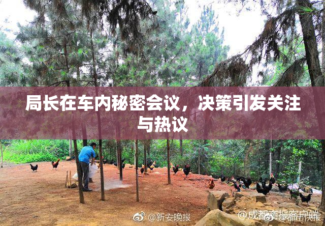 局长在车内秘密会议，决策引发关注与热议