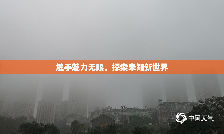 触手魅力无限，探索未知新世界