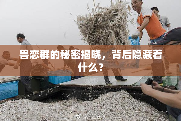 兽恋群的秘密揭晓，背后隐藏着什么？