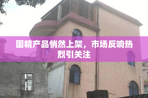 国精产品悄然上架，市场反响热烈引关注