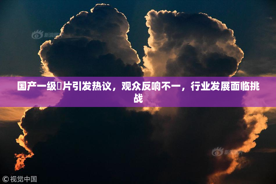 国产一级婬片引发热议，观众反响不一，行业发展面临挑战