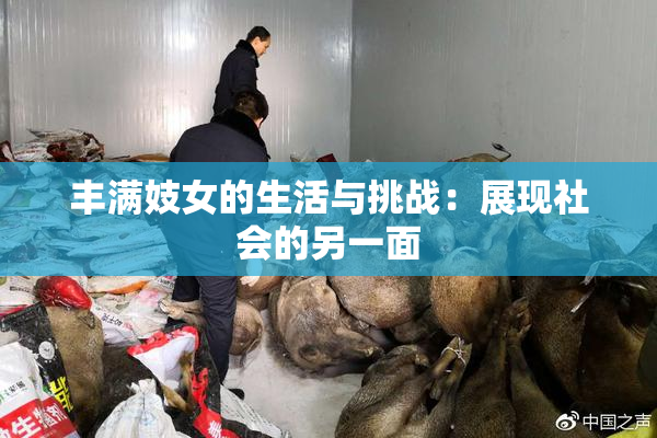 丰满妓女的生活与挑战：展现社会的另一面