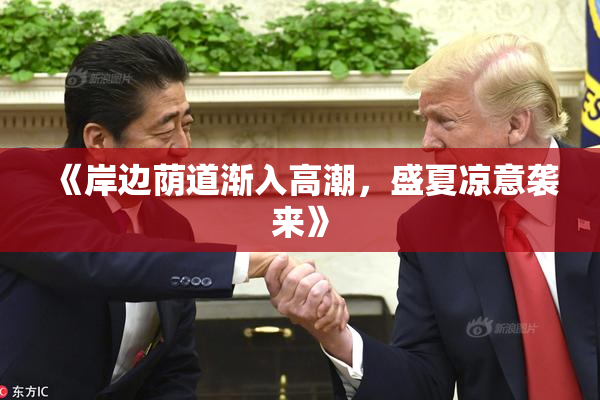 《岸边荫道渐入高潮，盛夏凉意袭来》