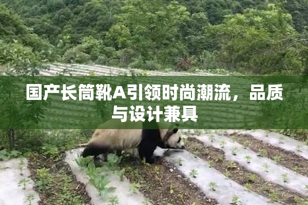 国产长筒靴A引领时尚潮流，品质与设计兼具