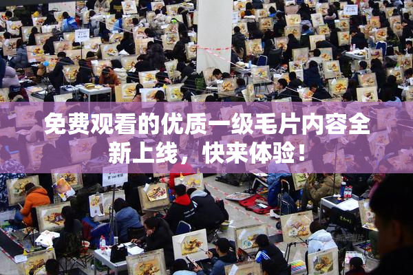 免费观看的优质一级毛片内容全新上线，快来体验！