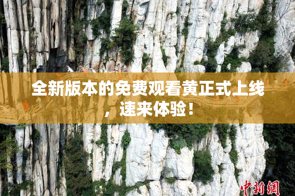 全新版本的免费观看黄正式上线，速来体验！