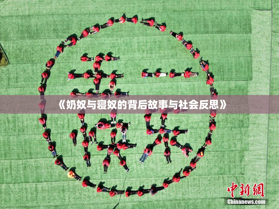 《奶奴与寝奴的背后故事与社会反思》