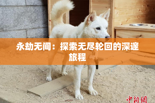 永劫无间：探索无尽轮回的深邃旅程