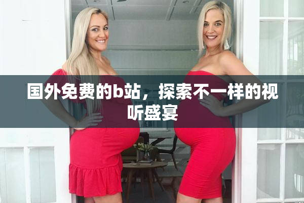 国外免费的b站，探索不一样的视听盛宴
