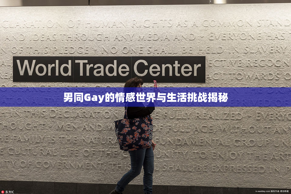 男同Gay的情感世界与生活挑战揭秘