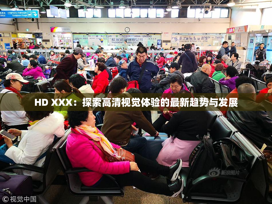 HD XXX：探索高清视觉体验的最新趋势与发展