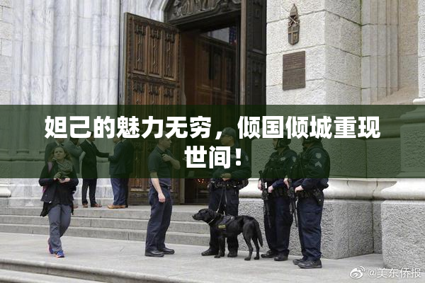 妲己的魅力无穷，倾国倾城重现世间！